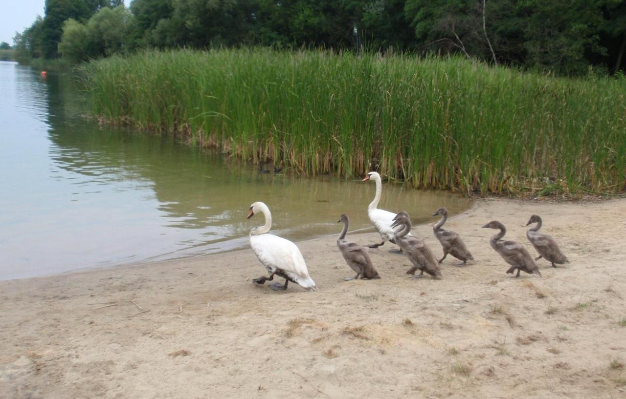 Domki Jak Prlu W Camp Lipno Stęszew Kültér fotó